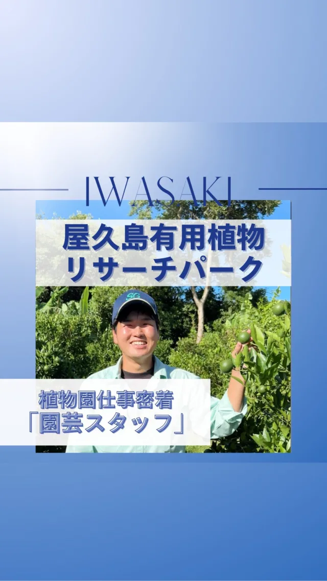【いわさきグループのお仕事に密着】  『お客様からの「きれいな植物ですね」の言葉がやりがいです』  今回は、屋久島有用植物リサーチパークの「園芸スタッフ」に密着🌴
業務内容や仕事のやりがいを聞いてみました！  #いわさきグループ#岩崎産業#園芸#観光#鹿児島#新卒採用#中途採用