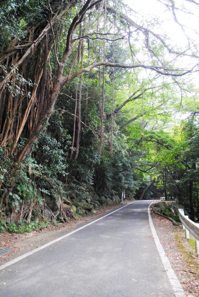 西部林道