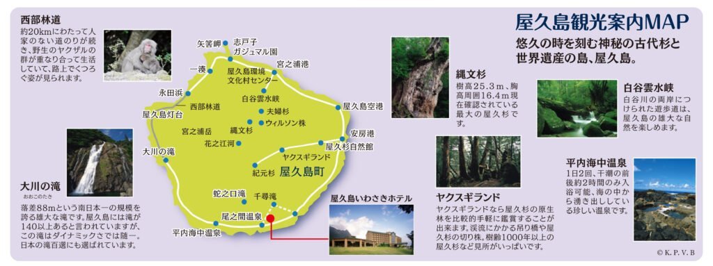 屋久杉観光案内MAP