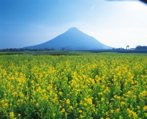 開門岳