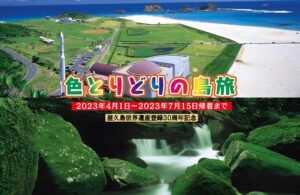 色とりどりの島旅