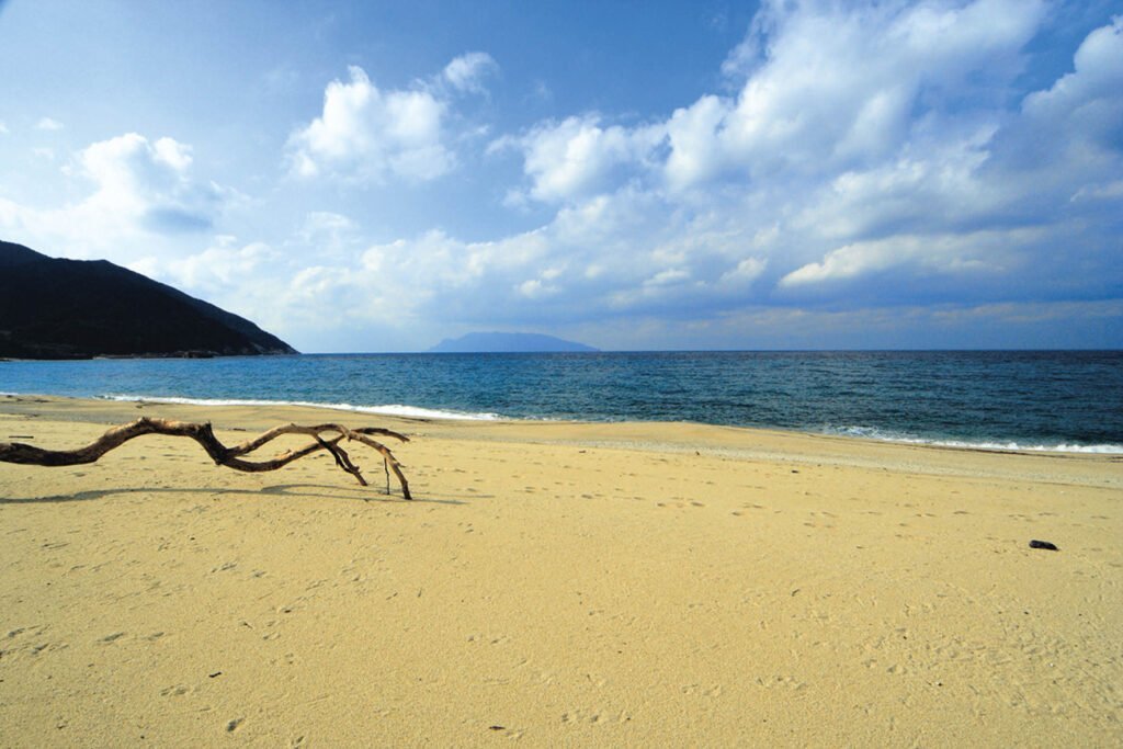 永田いなか浜