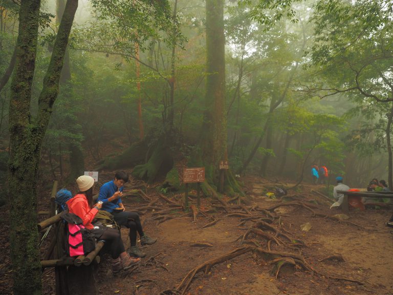 辻峠