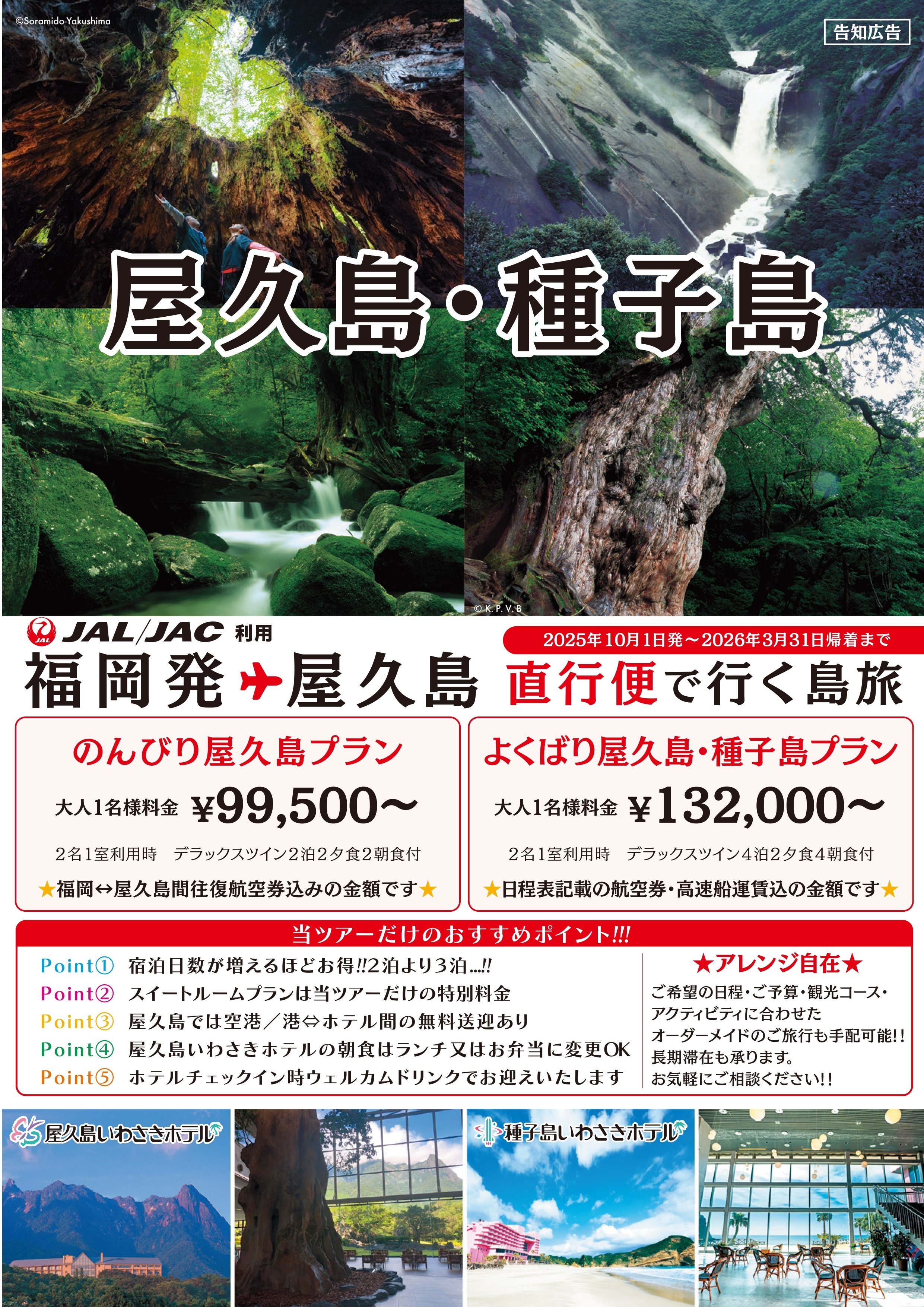 202507種屋の旅A4×2頁二つ折1