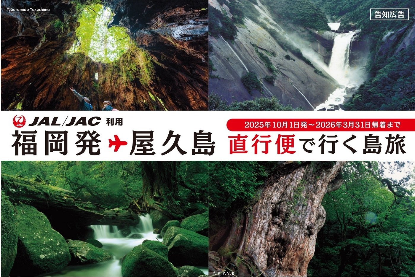 JAL/JACで行く 屋久島・種子島