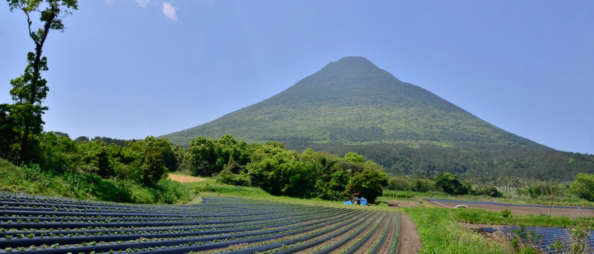 岩崎産業　香花園　農業事業