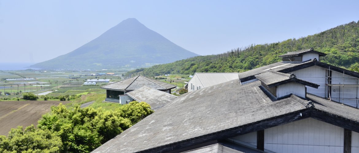 白露酒造　白露酒販　白露カンパニー　焼酎事業